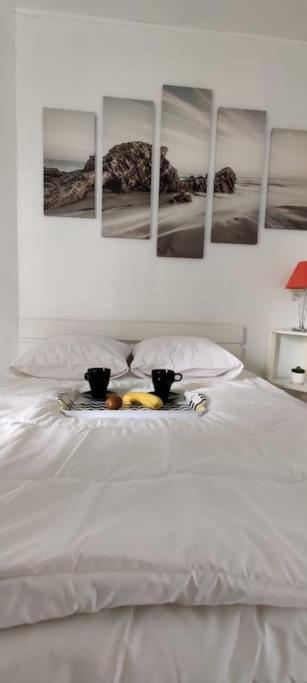 Chez Emy & Tom Apartment Cabourg Luaran gambar