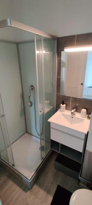Chez Emy & Tom Apartment Cabourg Luaran gambar