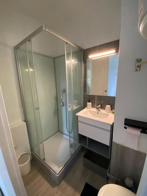 Chez Emy & Tom Apartment Cabourg Luaran gambar